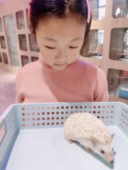 -Moni星球萌宠·小马宝莉·灵蛇·高端高阶全萌宠互动体验俱乐部(红豆国际广场店)
