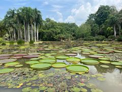 -中国科学院西双版纳热带植物园