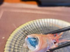 -一本料理(西溪天街店)
