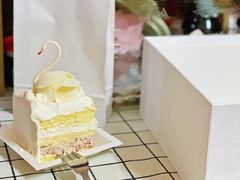 -BLACKSWAN黑天鹅(环球店)