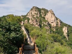 -大岭沟猕猴桃谷风景区