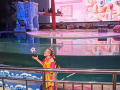 -三亚海昌梦幻海洋不夜城