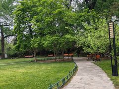 -近春园遗址