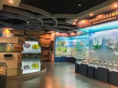 -甘肃地质博物馆