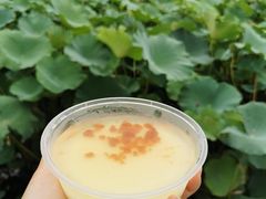 杏仁豆腐-护国寺小吃(新街口店)