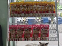 -美迦爱-牙专科·兔科·骨科诊疗中心(北苑店)
