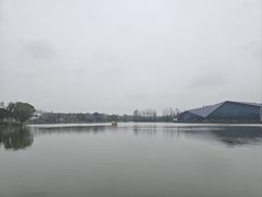 -上海长兴岛郊野公园