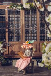 -韩国童感TOUCH PHOTO儿童摄影(朝阳分店)