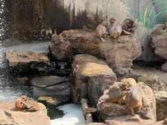 -无锡动物园·太湖欢乐园