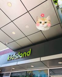 -KIDSLAND(北京蓝色港湾店)