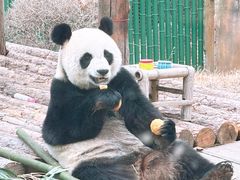 -大连森林动物园