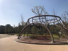 -昆山城市生态森林公园