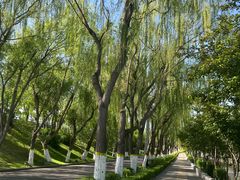 -伊犁河风景区