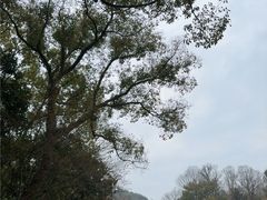 -杭州少年儿童公园