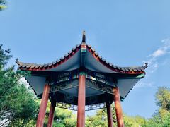-丰台花园