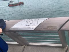 -星光大道