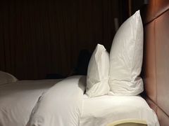 -广州白云机场雅高铂尔曼大酒店