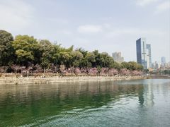 -望江楼公园