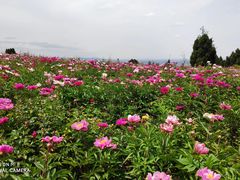 -金堂县云顶石城风景区