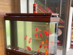 -火塘云南烧烤大排档