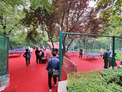 -西安市长乐公园