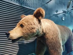 -中国湿地博物馆