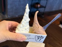 -野人先生现做冰淇淋(北京环宇荟店)