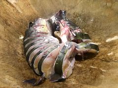 -云中鱼蒸汽石锅鱼(川沙百联店)