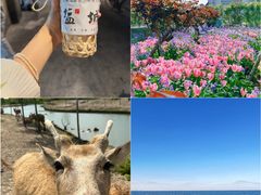 -盐城丹顶鹤湿地生态旅游区
