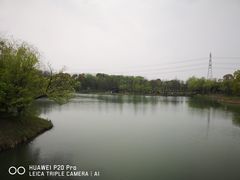 -梁鸿国家湿地公园