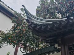 -苏州吴宫泛太平洋酒店
