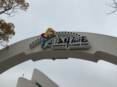 -上海鲜花港