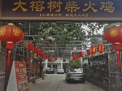 -大榕树柴火鸡•别院小厨(新都店)