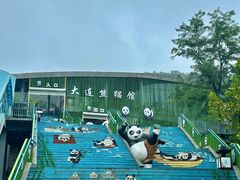 -大连森林动物园