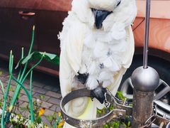 -卤儿道道(经纬店)