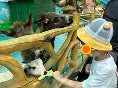 -五龙山野生动物王国