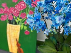 -上海鲜花港