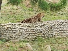 -西霞口神雕山野生动物世界