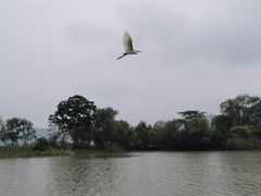 -长兴太湖图影湿地文化园
