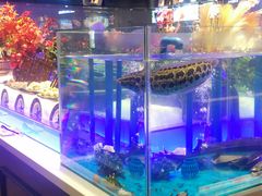 -SEA西雅图海鲜自助餐厅(海乐世界店)