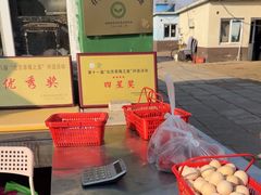 -大自然农场蔬菜草莓采摘园