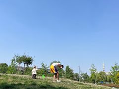 -两河城市森林公园