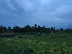 -三圣花乡旅游区