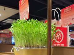 -海底捞火锅(莘松路店)