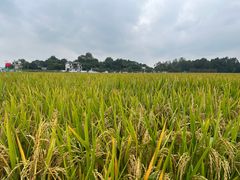 -中国天府农业博览园