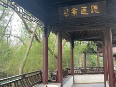 -上海佘山国家森林公园天马山园