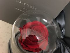 -ROSEONLY诺誓(国际广场购物中心店)
