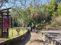 -苏家围·东江画廊旅游景区