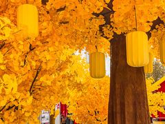 -龙湖杭州滨江天街