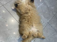 -万达广场(南京江宁店)